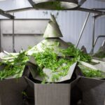 ???? Agribusiness – From Farm to Fork